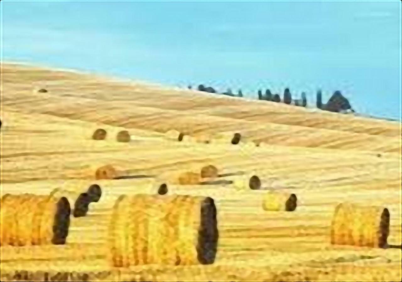Apartamento La Casa Di Nena Vivo dʼOrcia Exterior foto